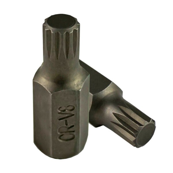 XZN FORET DU 10MM - 5MM