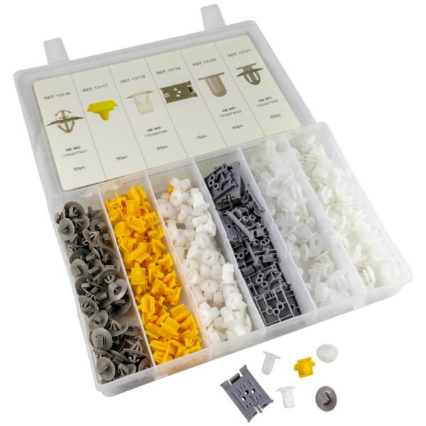 ÉTUI DE CLIPS EN PLASTIQUE POUR RENAULT 300 PCS